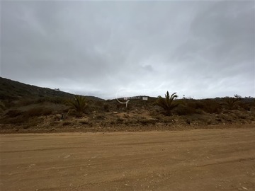 Imagen 4