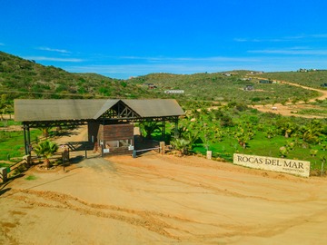 Venta / Sitio / La Ligua