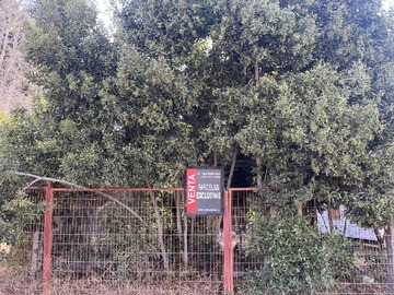 Venta / Sitio / La Ligua