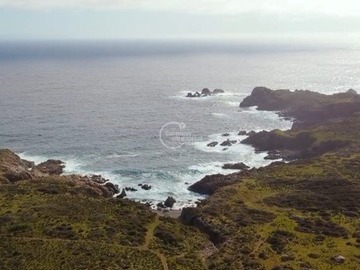 Imagen 8