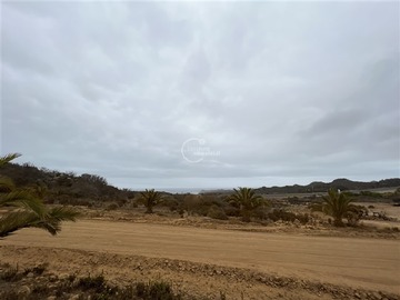 Imagen 3