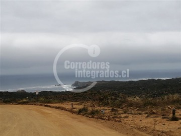 Venta / Sitio / La Ligua