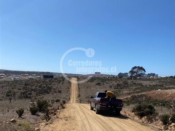 Venta / Sitio / La Ligua