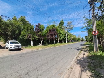 Imagen 16