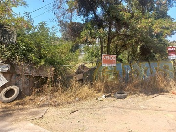Imagen 7