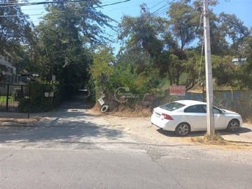 Imagen 20