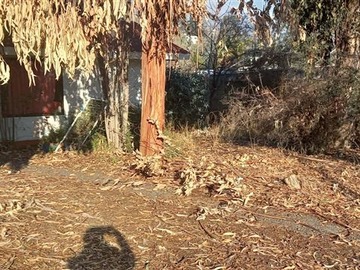 Imagen 12
