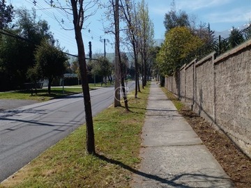Imagen 8