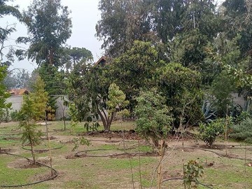 Venta / Sitio / La Reina