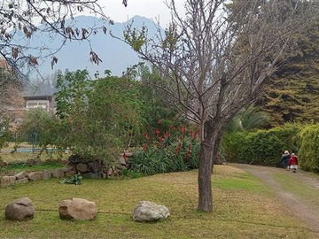 Imagen 5