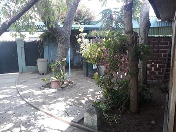 Imagen 5