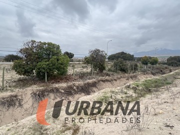 Imagen 16