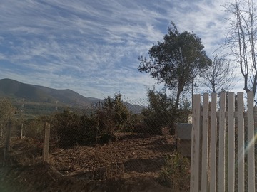 Imagen 6