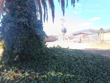 Imagen 20