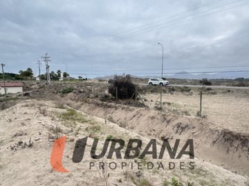 Imagen 14