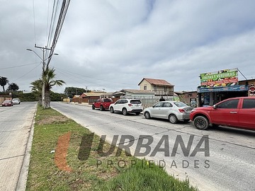Imagen 6