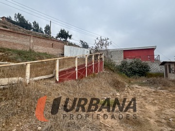 Imagen 8