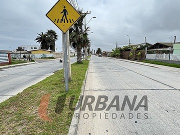 Imagen 8