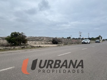 Imagen 8