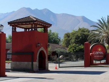 Imagen 11
