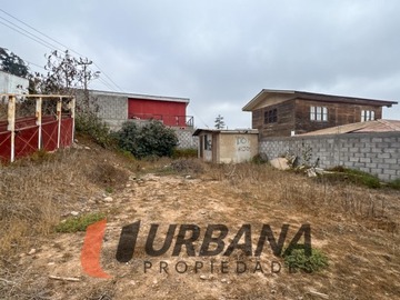 Imagen 9