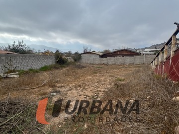 Imagen 10