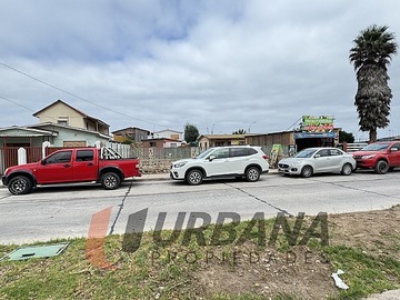 Imagen 4