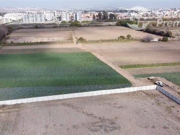 Imagen 8