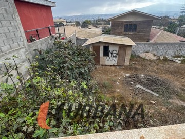 Imagen 6