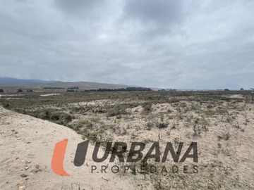 Imagen 9