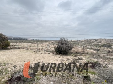 Imagen 5