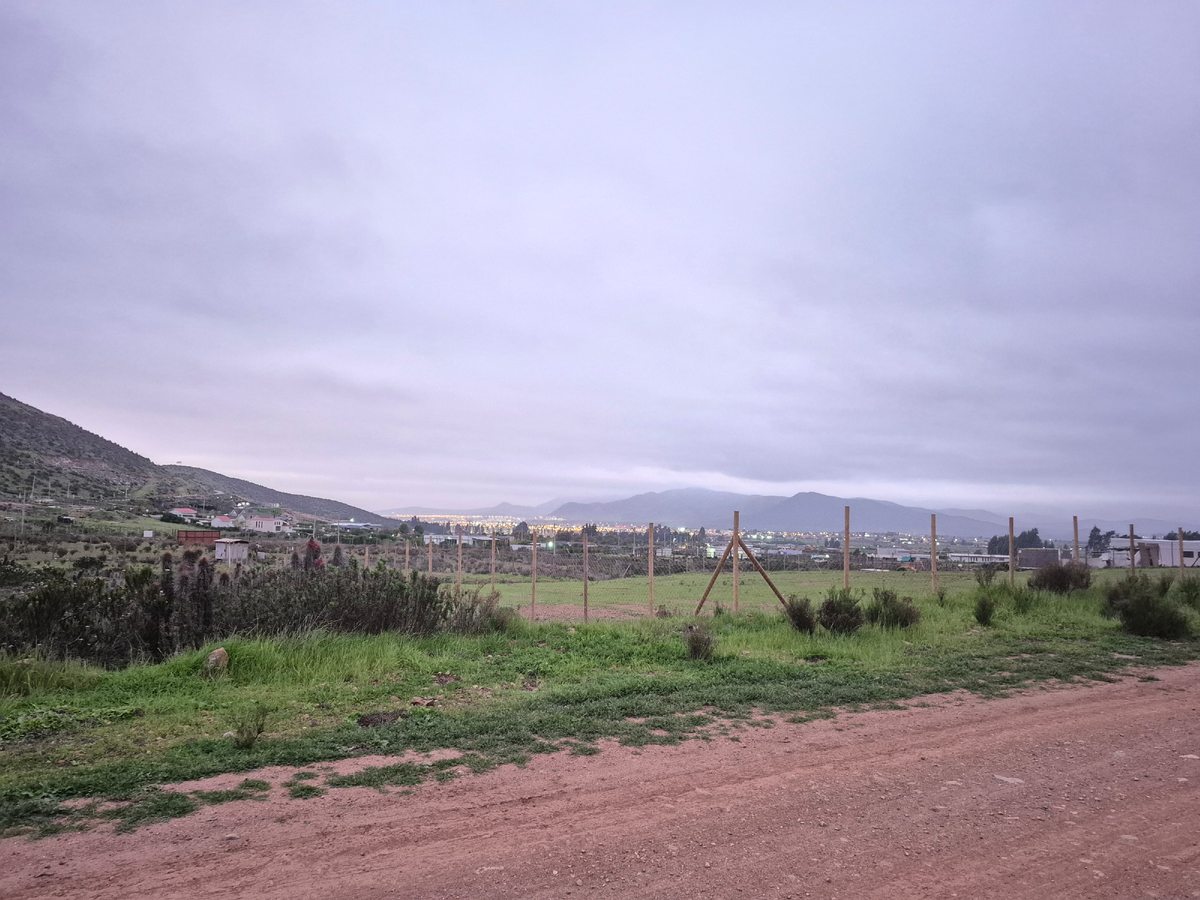 Vista desde la parcela