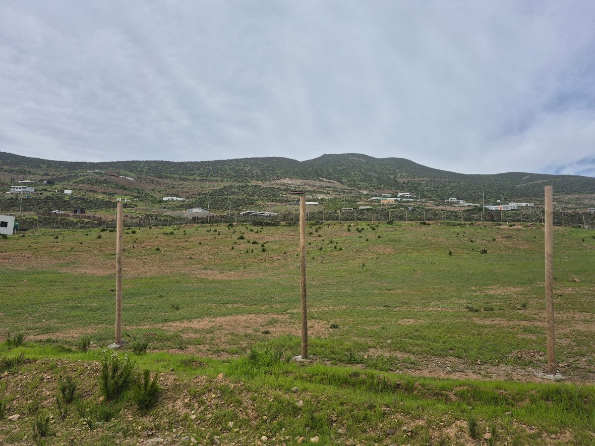 Vista central