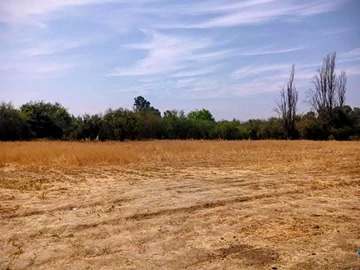 Venta / Sitio / Lampa