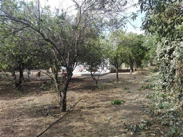 Imagen 11