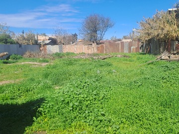 Venta / Sitio / Lampa