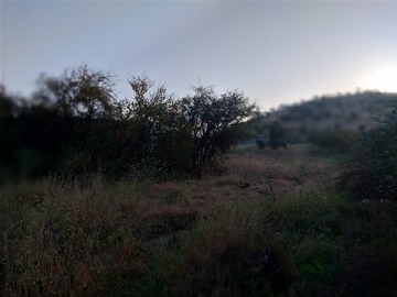 Imagen 7