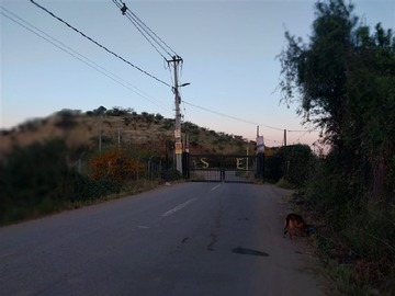 Imagen 8