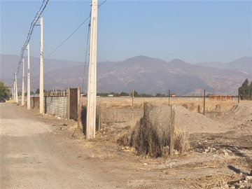Imagen 7