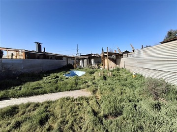 Imagen 5