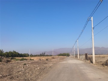 Imagen 5