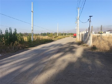 Imagen 12
