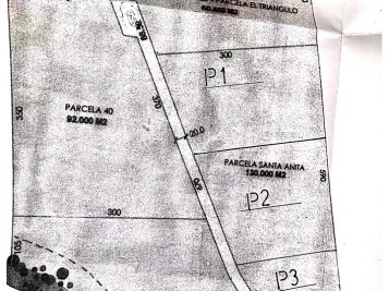 Imagen 7