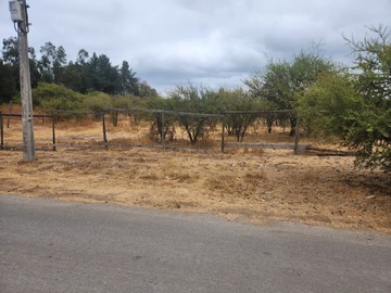Imagen 6
