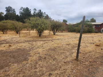 Venta / Sitio / Las Cabras
