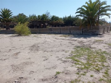 Imagen 7