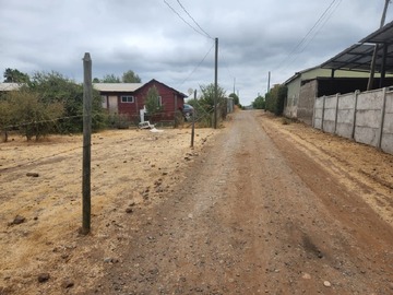 Imagen 11