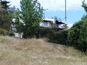 Imagen 8