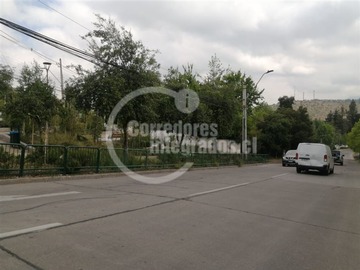 Imagen 13