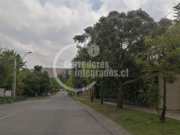 Imagen 10